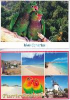 4 db MODERN képeslap a Kanári-szigetekről, hátoldalakon sakkbélyegzésekkel / 4 modern postcards from the Canary Islands, with chess stamps on the backsides