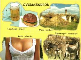 8 db VEGYES humoros motívumlap / 8 mixed humorous motive postcards