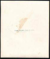 Budapest, a III. kerületi községi nőipariskola tanulói, fotó, hátulján pecséttel jelzett, 17,5×20,5 ...