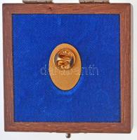 2000- . "Kossuth-díj" aranyozott kitűző, eredeti tokban (17x25mm) T:1,1- 
MNK.: 729