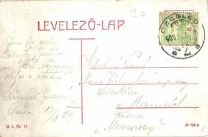 1909 Cegléd, Kossuth tér, Városháza, üzlet, Szentháromság szobor. W. L. Bp. 47