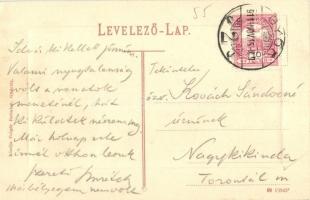 1911 Győr, Erzsébet tér, templom, Treitner Ferenc üzlete, reklám poszterek. Kiadja Polgár Bertalan (...