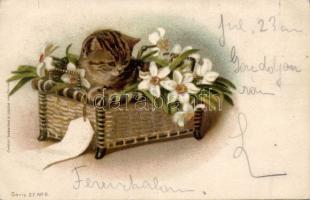 1899 Cat litho