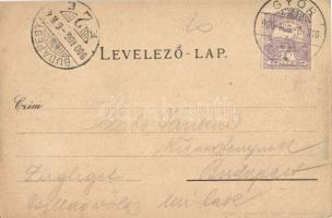 1900 Győr, látkép, uszályok. Kiadja Polgár Bertalan 4545. (EK)