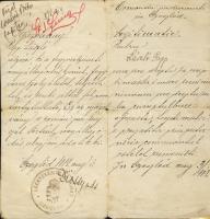 1919 A ceglédi lóértékesítő állomás által kiadott igazolvány a román megszálló hatóságok láttamozásával