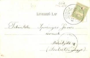 1906 Csíz, Csízfürdő, Kúpele Cíz; Hermin lak. Kiadja Fogel Mór / villa