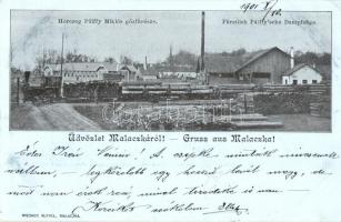 1901 Malacka, Malatzka, Malacky; Fürstlich Pálffysche Dampfsäge / Herceg Pálffy Miklós gőzfűrésze, fűrésztelep, iparvasút, gőzmozdony. Kiadja Wiesner Antal / sawmill, industrial railway, locomotive (EK)