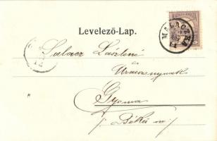 1901 Malacka, Malatzka, Malacky; Fürstlich Pálffy'sche Dampfsäge / Herceg Pálffy Miklós gőzfűré...