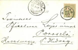 1905 Buziásfürdő, Buzias; Loydolt Henrik vendéglője a nyári szaletlivel, étterem. Kiadja Nosek Guszt...