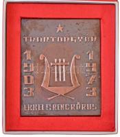 1973. "1903-1973 Traktorgyár - Erkel Ferenc Kórus" Br emlékplakett tokban (86x104mm) T:2 kis patina, tok tetején ragasztónyom