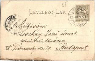 1906 Ungvár, Uzshorod, Uzhorod; temetés díszmenete, Elfer Márkus üzlete / funeral, shop. photo (b)