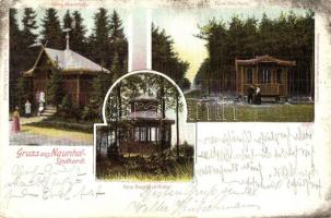 1906 Naunhof, Naunhof-Lindhardt; König Albert Hütte, Fürst Otto Hütte, Fürst Bismarck Hütte / tourist houses, chalets. Günz & Eule 6487. (EK)