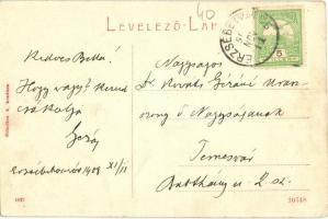 Erzsébetváros, Dumbraveni; Üvegház, Scholtes A. 1827. kiadása / greenhouse