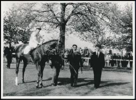 3 db lovas galopp fotó, 13×18 cm