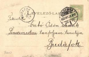 1902 Kolozsvár, Cluj; Sétatéri mulató. Dunky Fivérek cs. és kir. udv. fényképészek / promenade, rest...