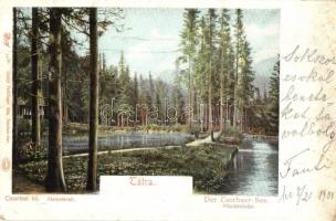 1901 Tátra, Tatry; Csorbai tó, Halastavak. Feitzinger Ede 10. bt. / Strbské pleso, fishing lakes