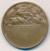 ~1930. "Ujpesti Torna Egyesület 1885" Br emlékérem fülnyommal, "LUDVIG BP THÉK / LUDV...