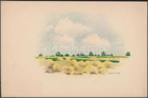 Biczó Judit(1938): Aratás után, Padon, 2 db Ceruza, papír, jelezett, 20x30 cm