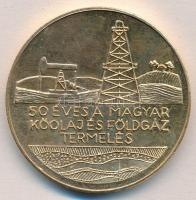 1987. 50 éves a magyar kőolaj és földgáz termelés / OMBKE XX. Vándorgyűlés Keszthely aranyozott fém emlékplakett (42mm) T:2