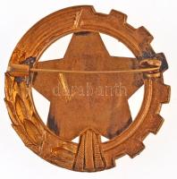 ~1960-1970. "Kiváló Földműves Szövetkezeti Dolgozó" zománcozott kitüntető jelvény T:1-,2