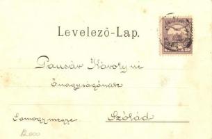 1900 Szatmárnémeti, Szatmár, Satu Mare; Deák tér, utcakép, üzletek. Kiadja Lövy Miksa / square, stre...