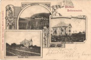 1901 Badacsony, Bertinyi villa, Neptun szálloda. Kiadja Mérei Ignác. Art Nouveau, floral (EB)