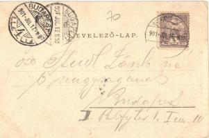 1901 Badacsony, Bertinyi villa, Neptun szálloda. Kiadja Mérei Ignác. Art Nouveau, floral (EB)