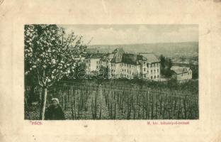 Pécs, M. kir. bábaképző intézet, szőlőhegy. W.L. Bp. 6818. (EK)