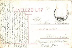 Zilah, Zalau; Kossuth tér, Vigadó szálloda, kávéház és étterem, Wesselényi szobor, Barta üzlete, pia...