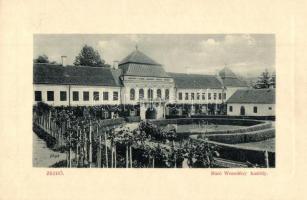 Zsibó, Jibou; Báró Wesselényi kastély, kert. W. L. Bp. 7094. / castle