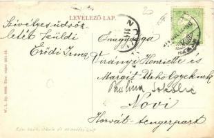 Nagykikinda, Kikinda; Római katolikus iskola, artézi kút. W.L. Bp. 6636. / school, well (r)