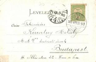 1909 Bólya, Bell, Bulia, Buia; Grüss aus den Siebenbürgischen Karpaten! Bulia-Thal mit Wasserfall, B...