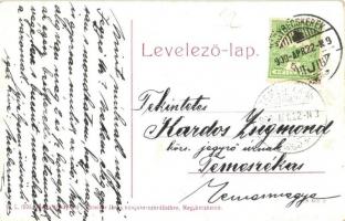 1909 Nagybecskerek, Zrenjanin, Veliki Beckerek; Jenő főherceg utca. W.L. 1006. Schneider János kiadá...