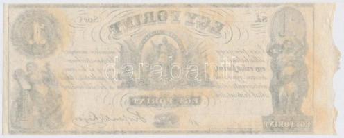 1852. 1Ft "Kossuth bankó" kitöltetlen "C", ívszéllel T:I- 
Hungary 1852. 1 Fori...