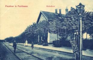 1909 Ferencfalva, Fericanci; Kolodvor / Bahnhof / vasútállomás. W. L. (?) 973. / railway station (EK)