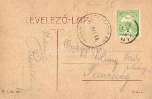 Vinga, Fő utca, Kir. Járásbíróság. W.L. Bp. 5434. / main street, court