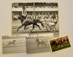 Az Api nevű ló verseny közben, 3 db fotó, hátuljukon feliratozva, különböző méretben + 1 db Magyar Ügető kártyanaptár