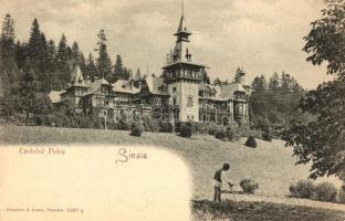 Sinaia, Castelul Peles / castle