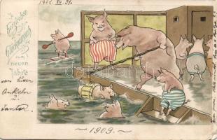 Pigs swimming (EB)