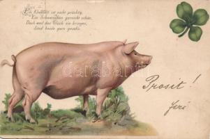 1899 Pig (win Riß)