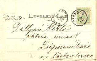 1906 Mosdós, templom, utcakép, falubeliek népviseletben, villa. Fénynyomat Divald műintézetéből