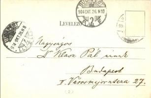 1904 Nagykálló, Volt megyeháza, jelenleg elmegyógyintézet, tébolyda, árusok. Kiadja Sarkadi József (...