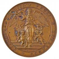 1888. Pécsi Általános Kiállítás / Elismerés az érdemnek fém emlékérem (67mm) T:2 oxidációs fo., kisebb ph.