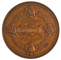 1888. "Pécsi Általános Kiállítás / Elismerés az érdemnek" fém emlékérem (67mm) T:2 oxidáci...