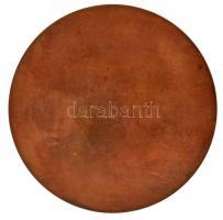 1984. "Gyula" Br plakett. Szign.: KL (98mm) T:2