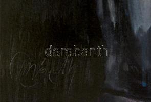 Olvashatatlan jelzéssel: Mosoly a kamerának. Olaj, vászon, 70×50 cm