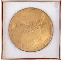 ~1980. "760 éves városunk 30 éve szabad" Br plakett eredeti tokban (110mm) T:2 patina
