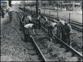 cca 1960-1980 BKV és HÉV 13 db klf méretű fotó