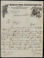 1921 Székesfehérvár, Sándor Imre erdészeti és mezőgazdasági magnagykereskedés erdei csemete nagytermelés díszes fejléces levél