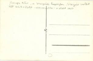 Visegrád, Visegrádi hegység, Görgey Artúr bérc (a tábornok utolsó évtizedeit visszavonultan élte le ...